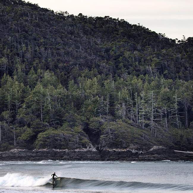 surf