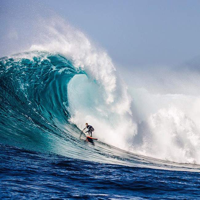 surf
