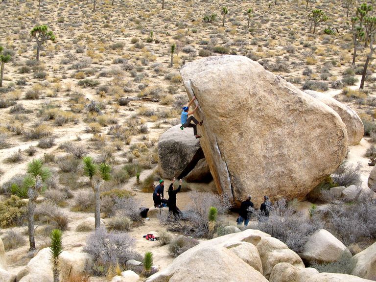 new years in joshua tree 12