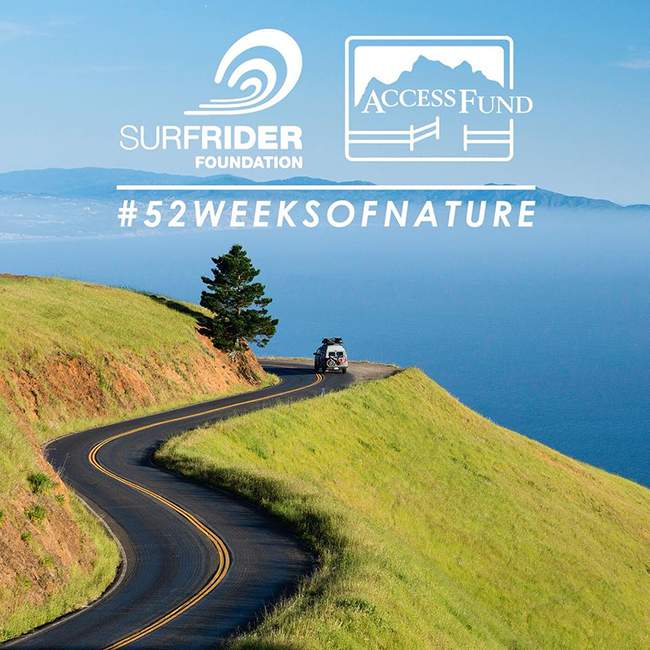 52weeks