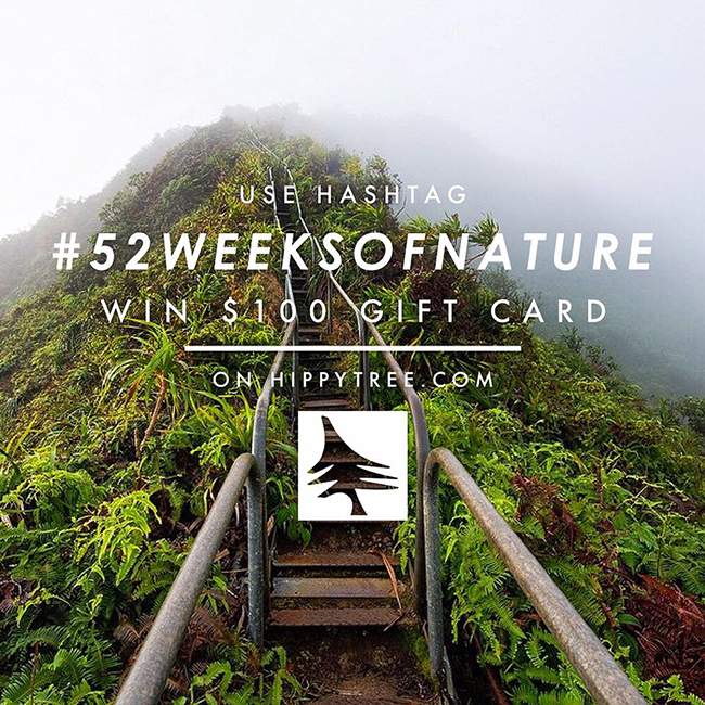 Week 3