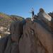 new years in joshua tree 14