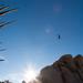 new years in joshua tree 16