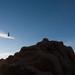 new years in joshua tree 17