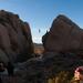 new years in joshua tree 18