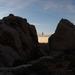 new years in joshua tree 20