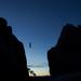 new years in joshua tree 21
