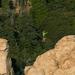 crestline catwalk 19
