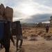 new years in joshua tree 02