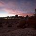 new years in joshua tree 22