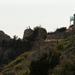 crestline catwalk 20