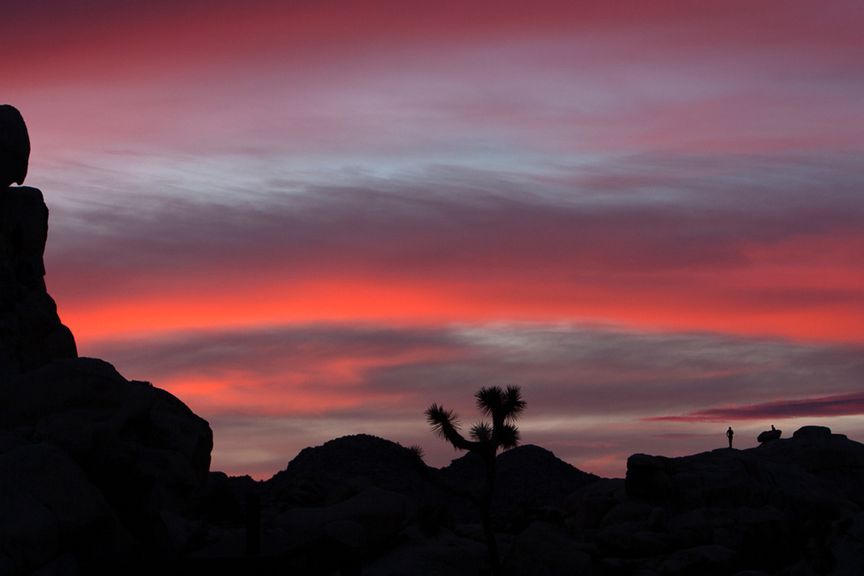 new years in joshua tree 23