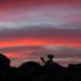 new years in joshua tree 23