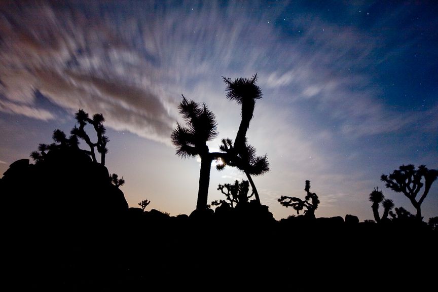 new years in joshua tree 24