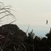 crestline catwalk 23