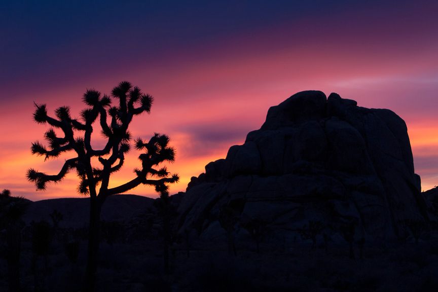 new years in joshua tree 25