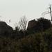 crestline catwalk 24