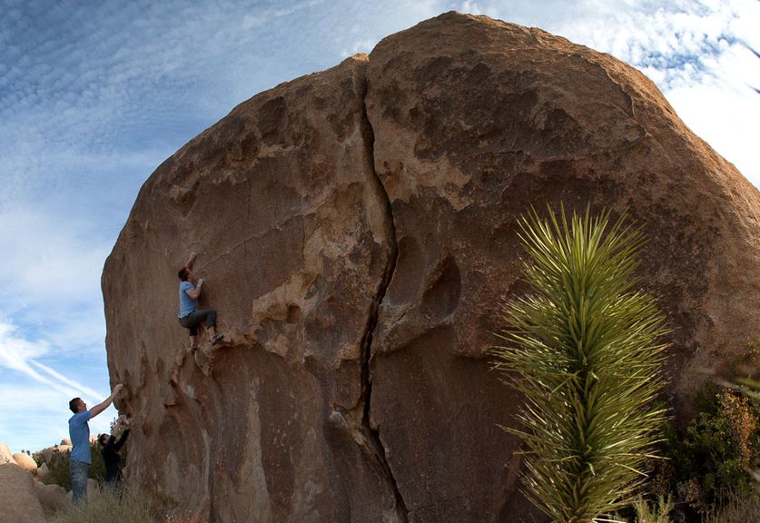 new years in joshua tree 03