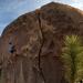 new years in joshua tree 03