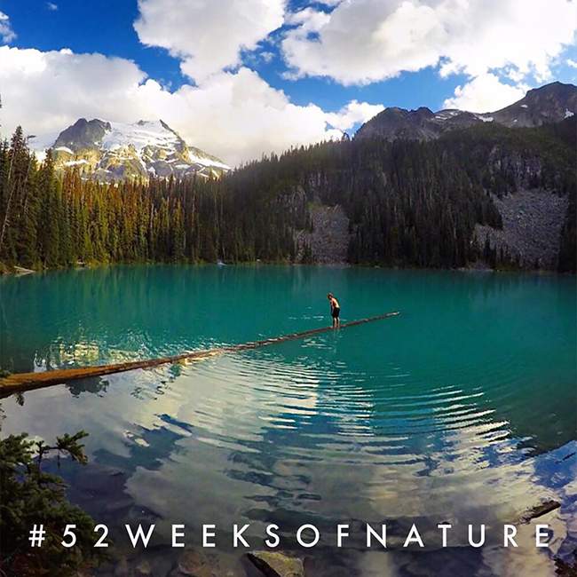52 Weeks