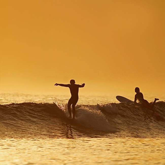 Surf