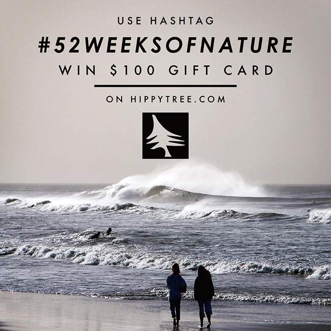 52 weeks
