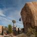 new years in joshua tree 04