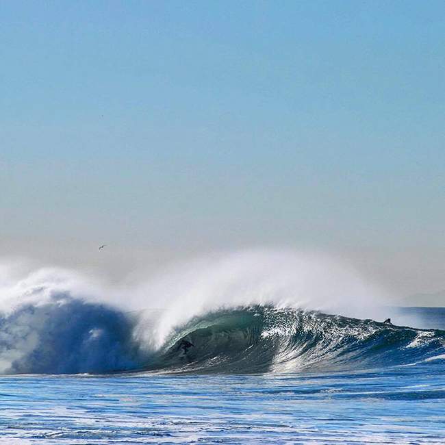 surf