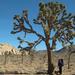 new years in joshua tree 05