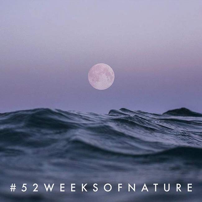 52 weeks