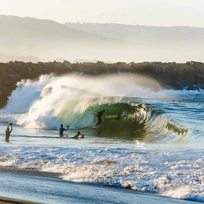 Wedge