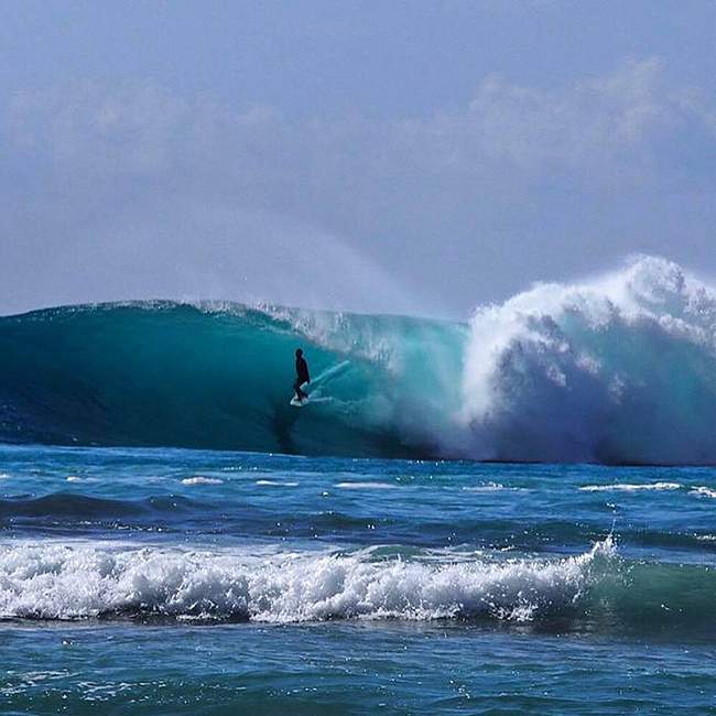 Surf