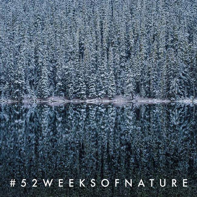 52 weeks