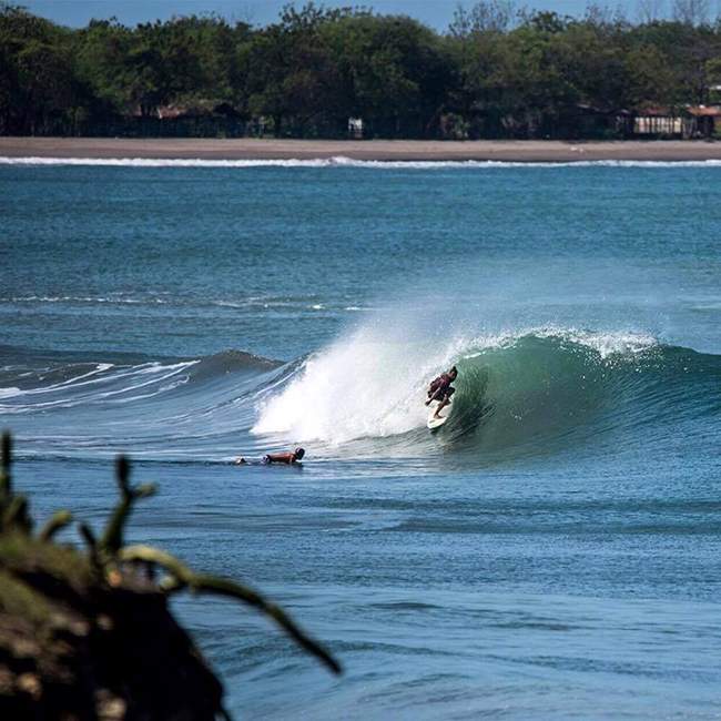 Surf