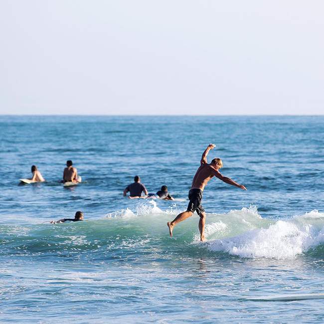 surf