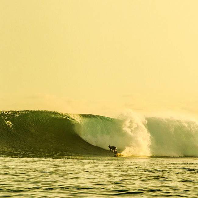 surf