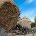 new years in joshua tree 07