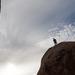 new years in joshua tree 08