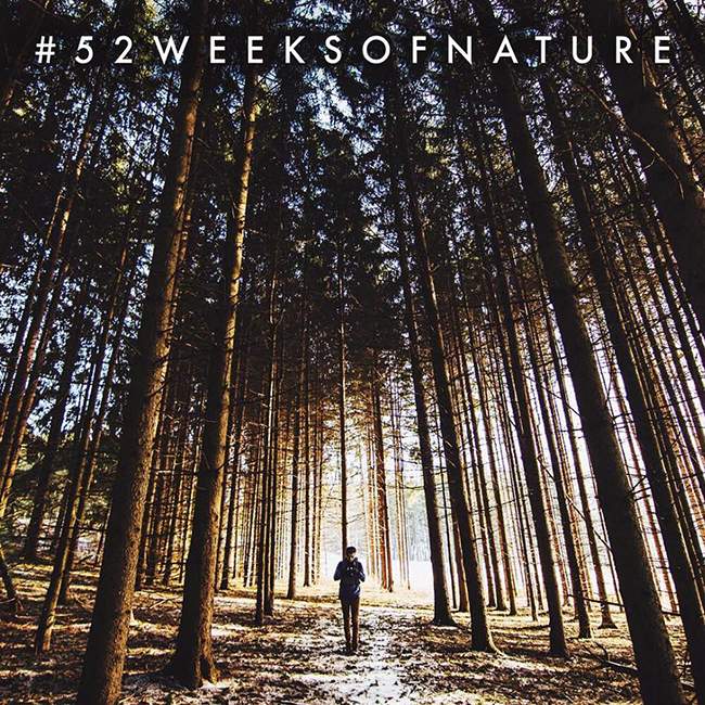52weeks