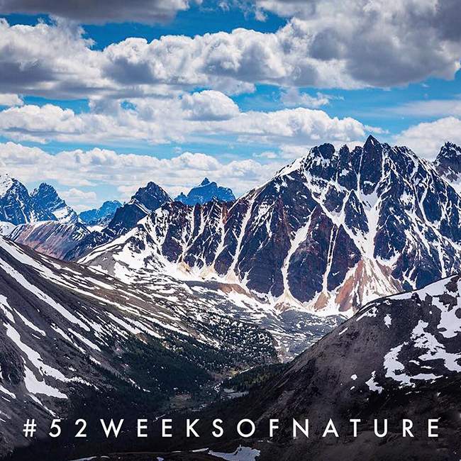 52 weeks