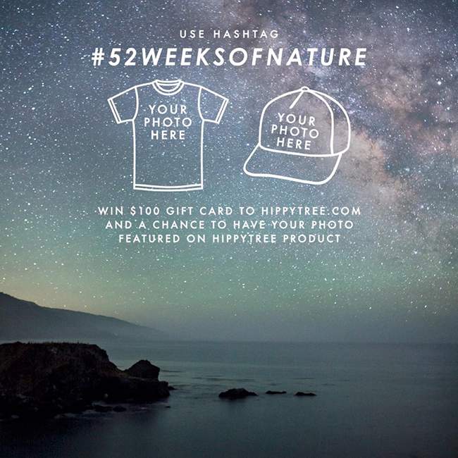 52 week