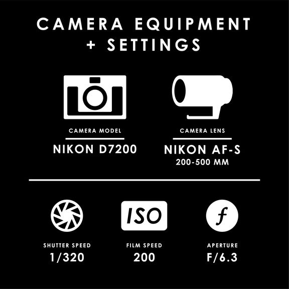 week27_settings