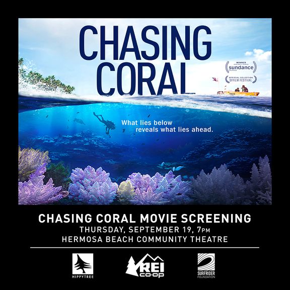 Chasing Coral