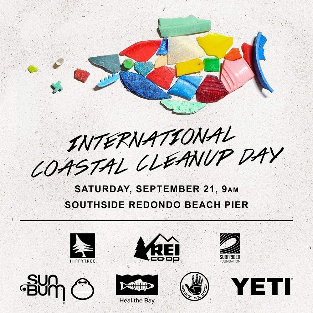 International Coastal Cleanup Day Blog Hippytree