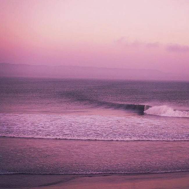 purple haze