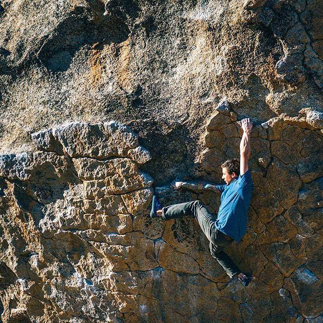 monkeying around