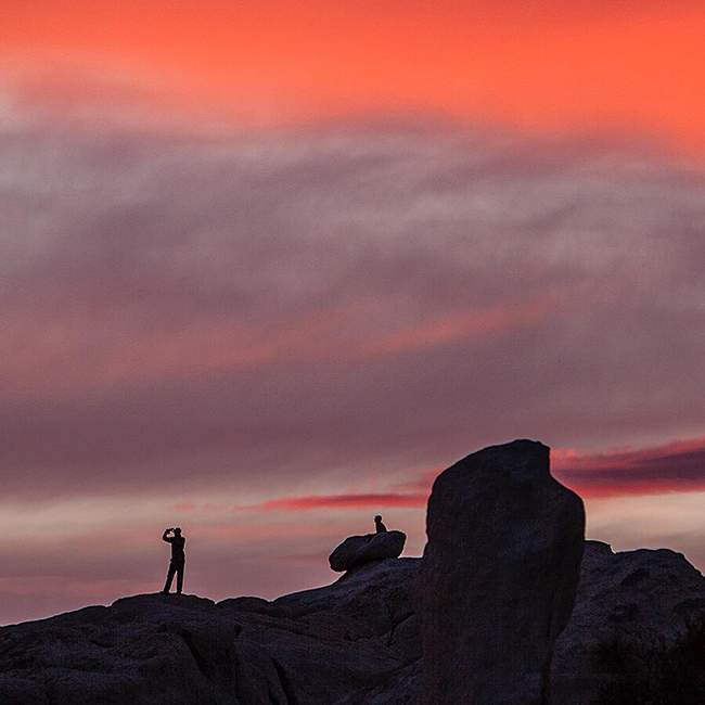 painted skies