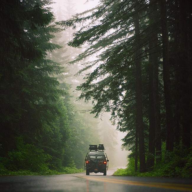 moody mornings
