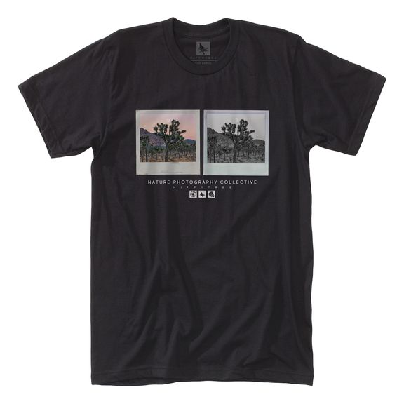 Week 12 T-Shirt